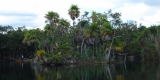 cenote cenote