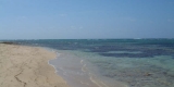 cuba-341 cuba-341
