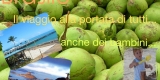 foto-brasile foto-brasile