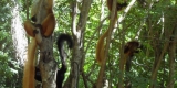 nosy-be-006 nosy-be-006