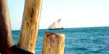 zanzibar-5_0 zanzibar-5_0