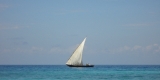 sfondo_barca_a_vela sfondo_barca_a_vela