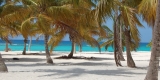 saona-mariposatours12 saona-mariposatours12