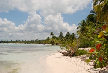 Voli per Santo Domingo