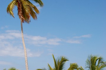 E’ tornato il sole! Voliamo a Cuba Messico solo ritorno da Santo Domingo