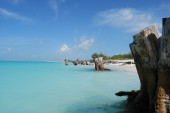 Voli per Cuba offerte di Luglio da Milano e Roma